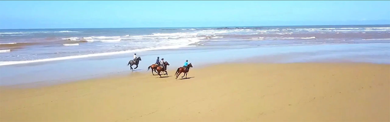 randonnee-cheval-afrique-sud-wildcoast-04.jpg