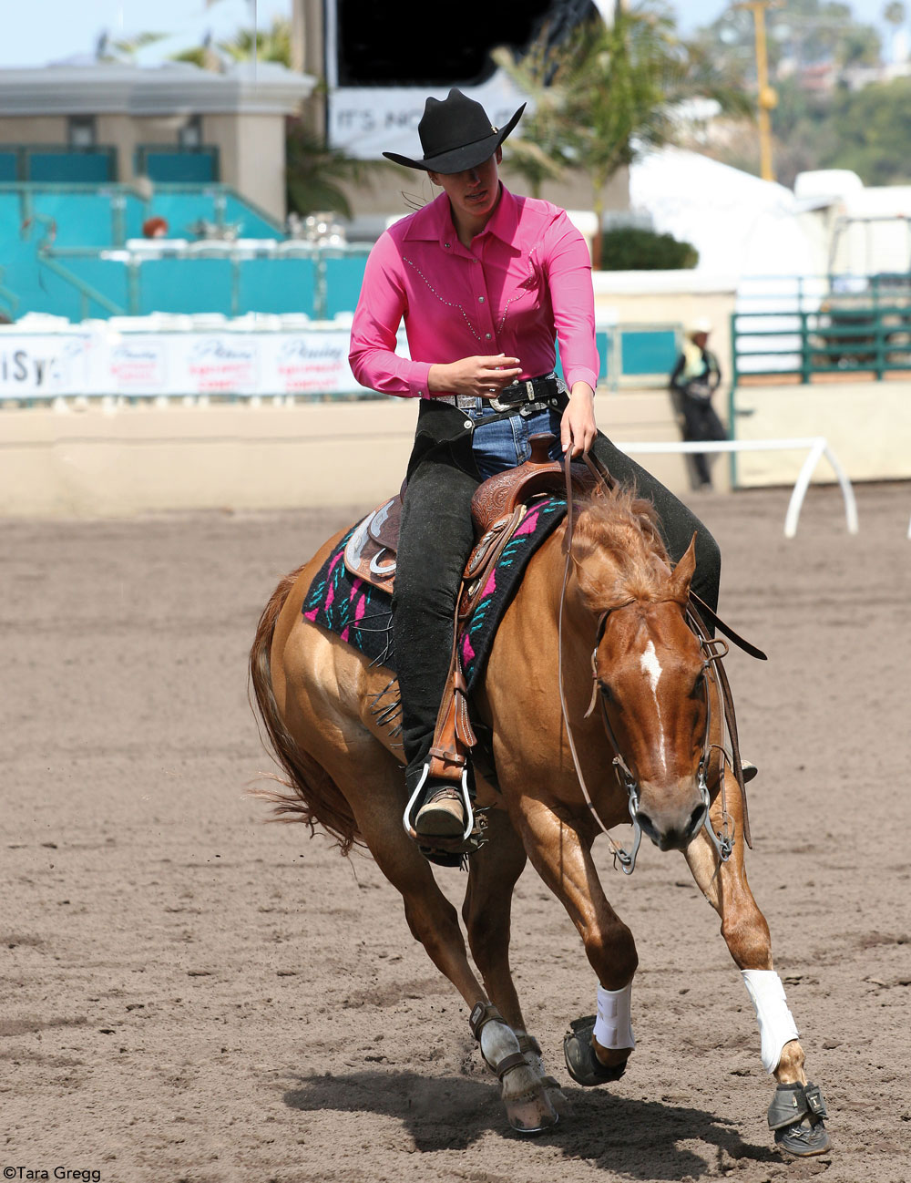 reining-fast-circle_1000.jpg