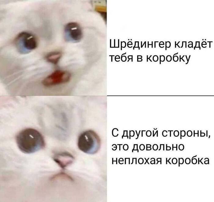 roieuqfl_lg.jpg