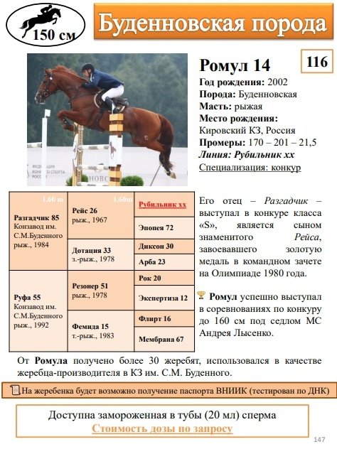 Ромул.jpg