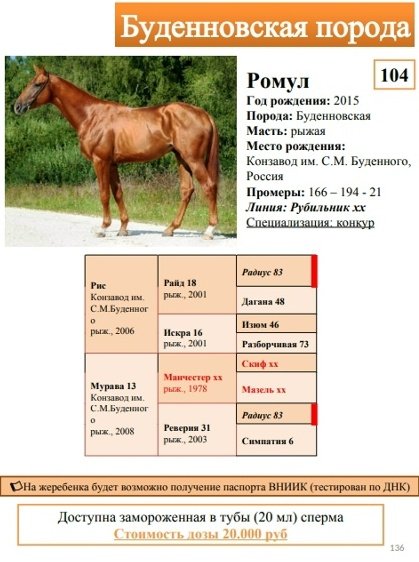 Ромул (о. Рис).jpg