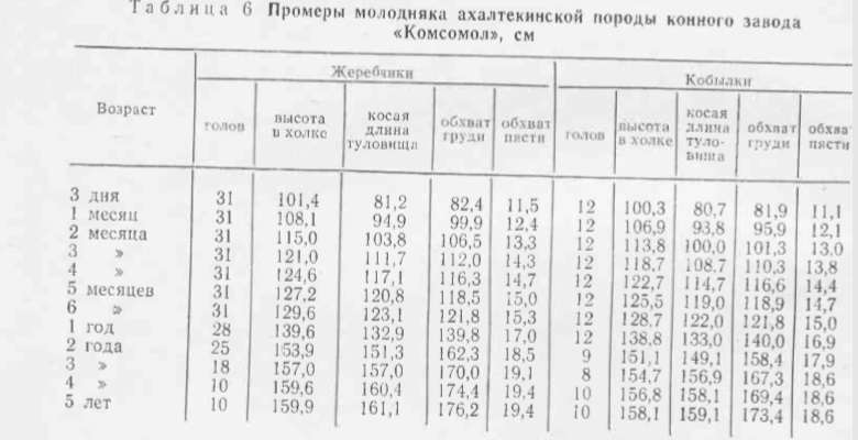 рост 1.jpg