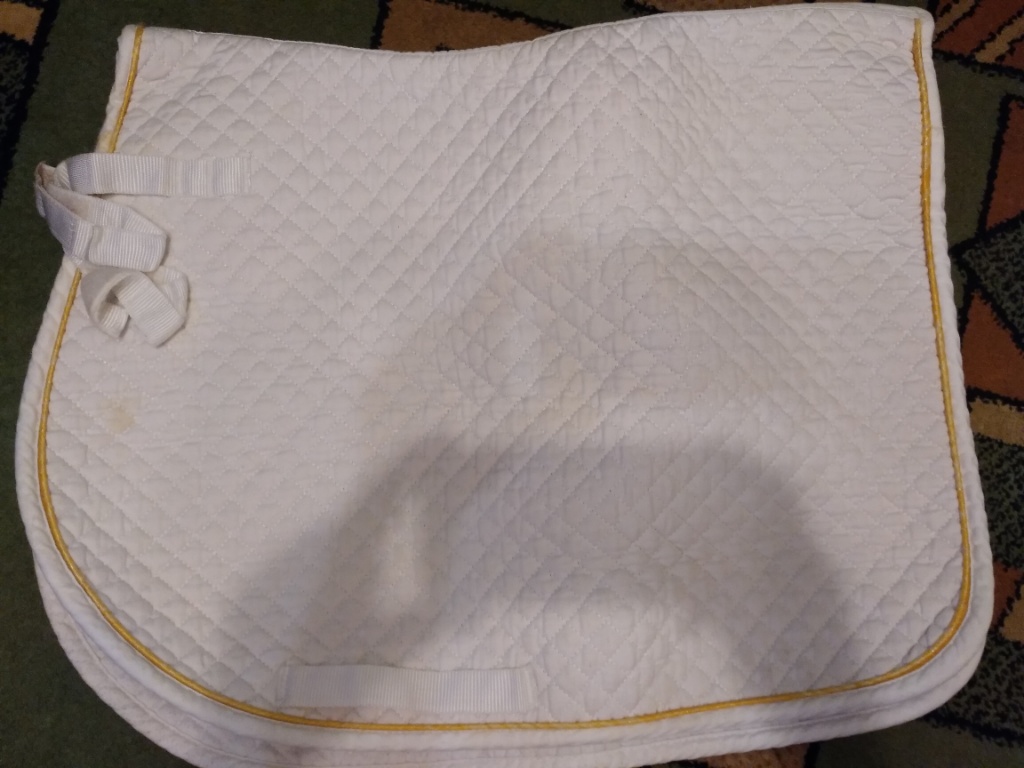 rps20190607_185546.jpg