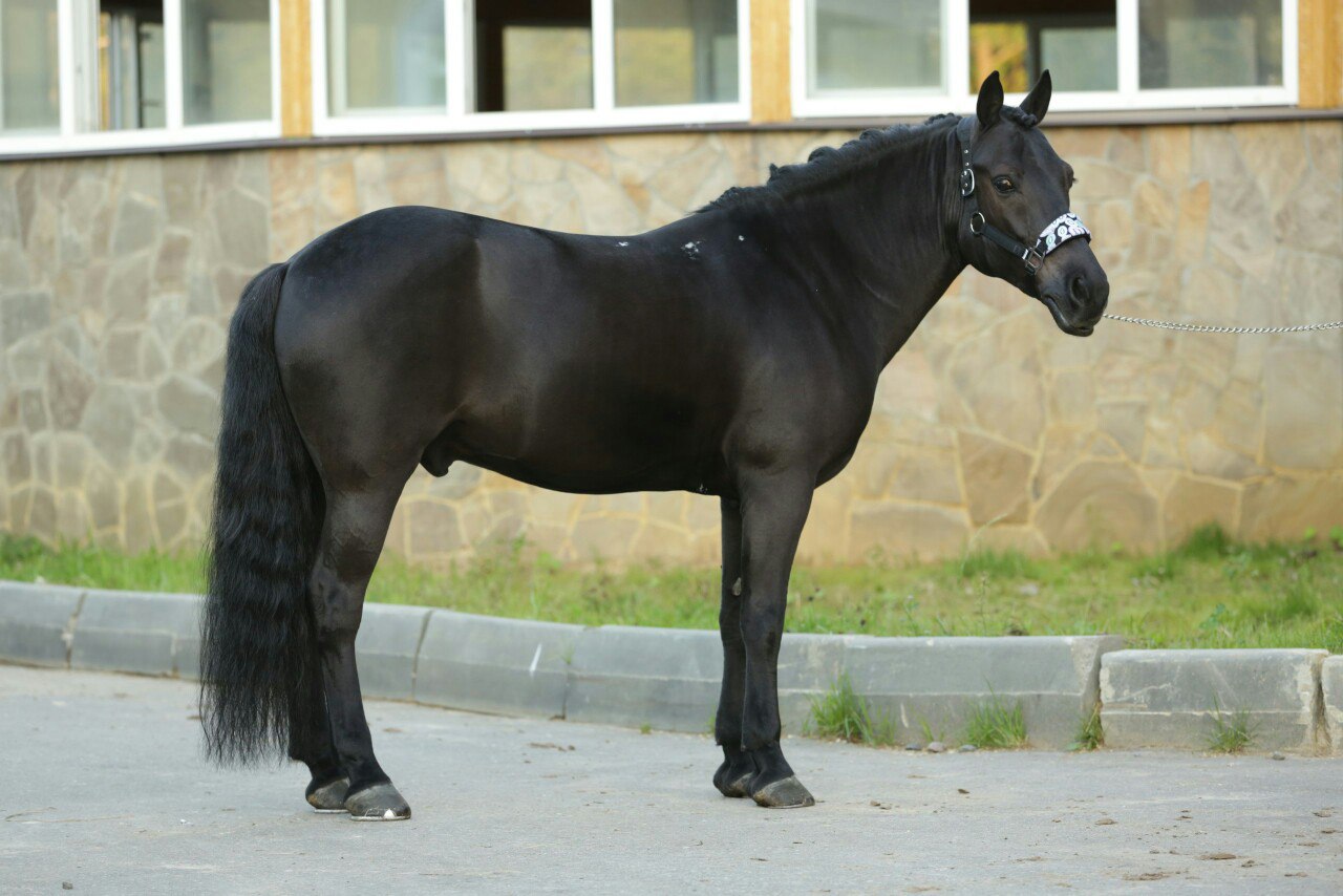 rQ9jl9Mxh78.jpg
