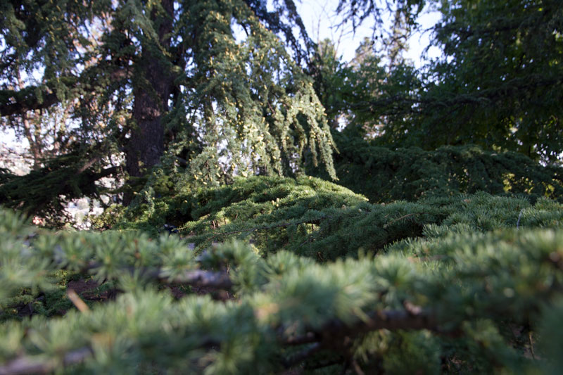 S_0006.jpg