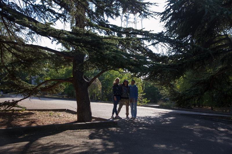 S_0008.jpg