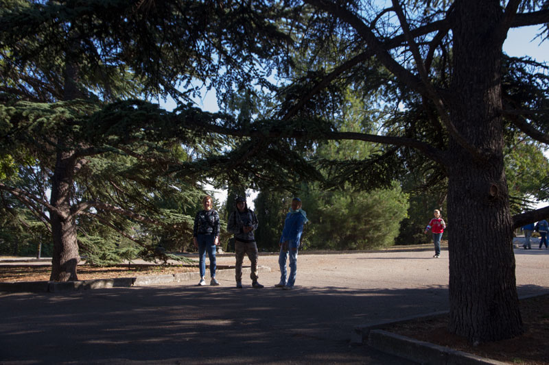 S_0009.jpg