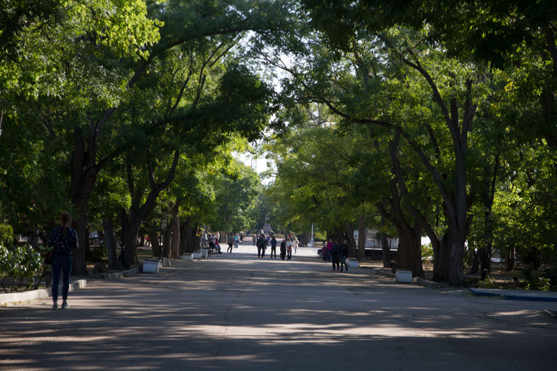 S_0017.jpg