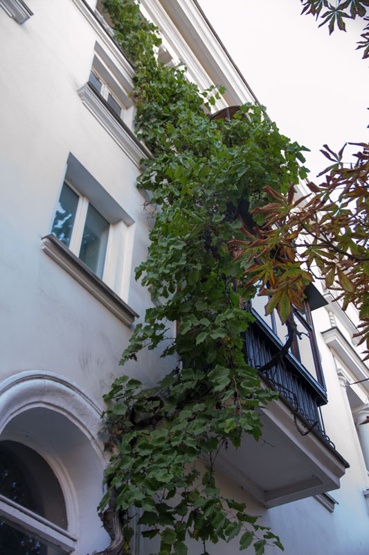 S_0025.jpg