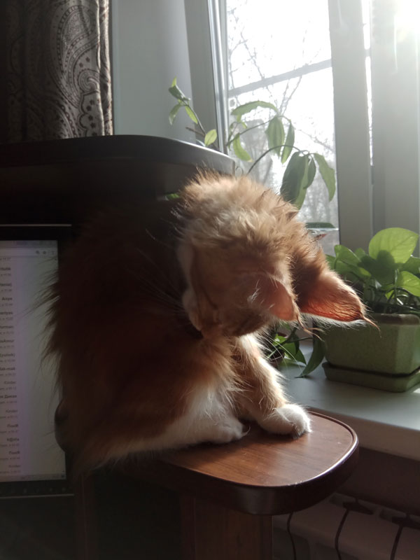 S_145509.jpg