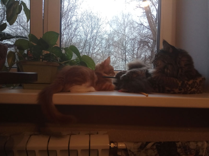 S_184237.jpg