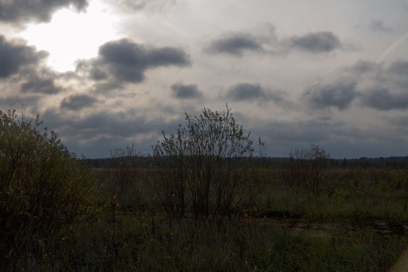 S_2877.jpg