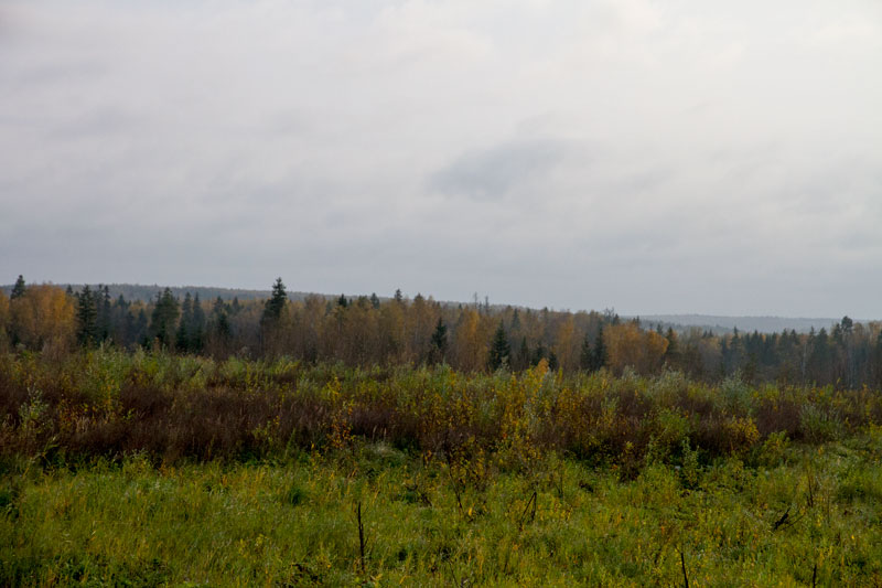 S_2904.jpg