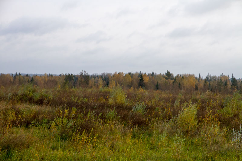 S_2905.jpg