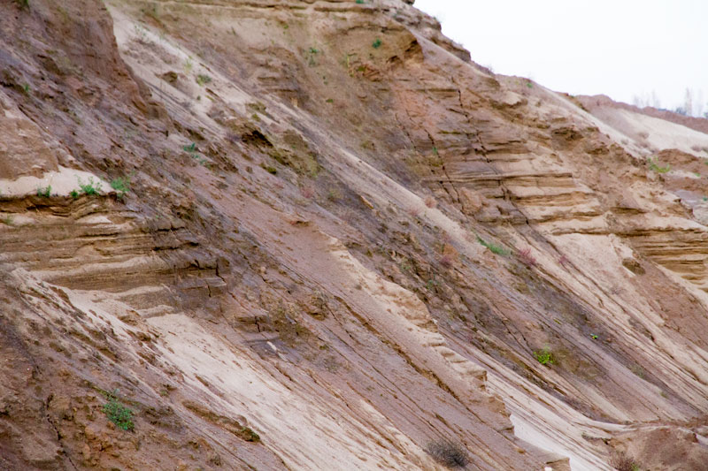 S_2970.jpg