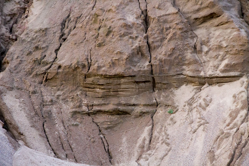 S_2976.jpg