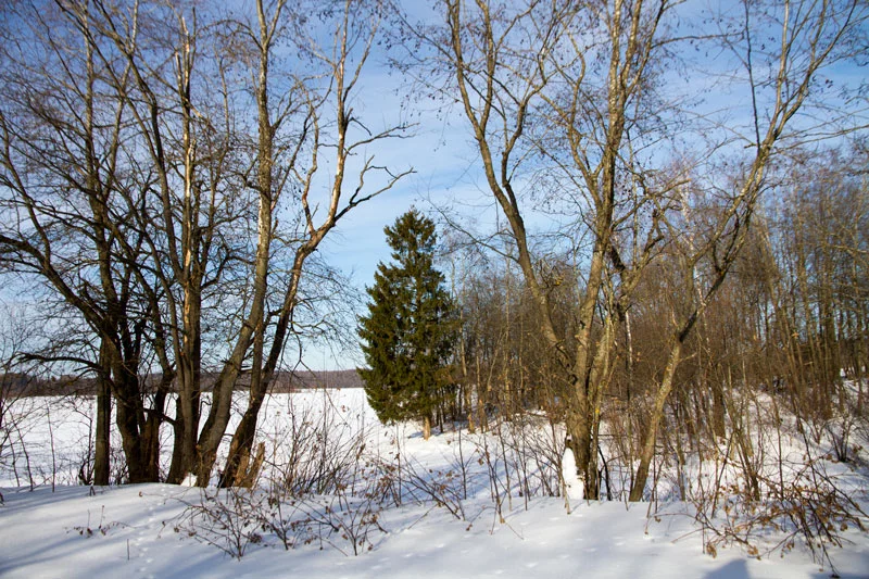 S_5379.webp
