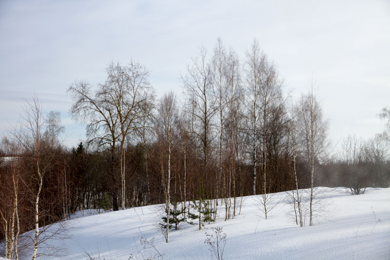S_5447.jpg