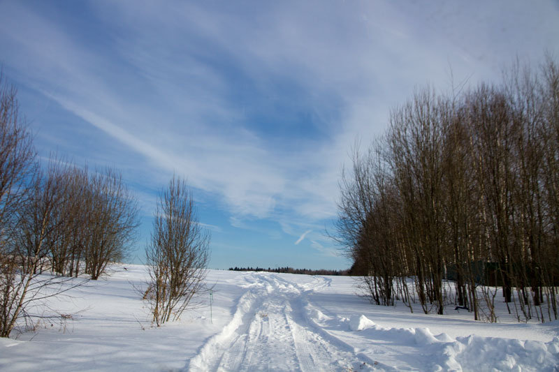 S_5448.jpg