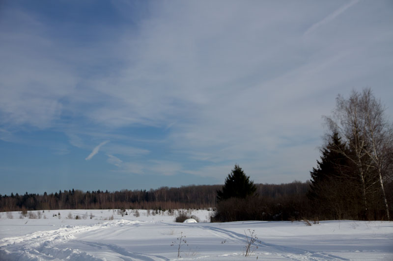 S_5449.jpg