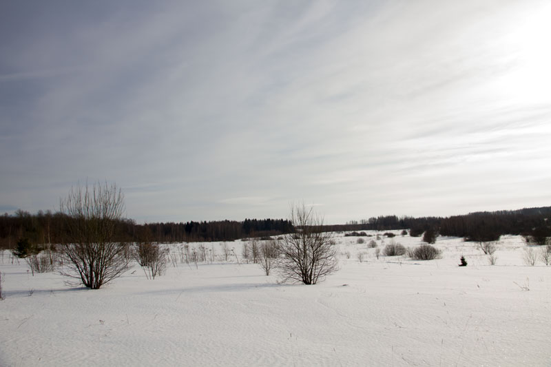 S_5456.jpg