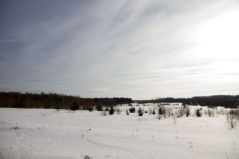 S_5458.jpg