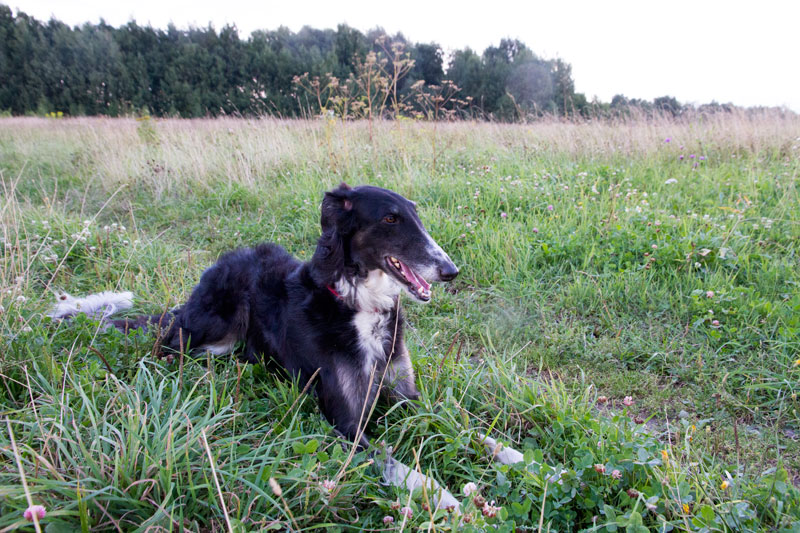 S_9504.jpg
