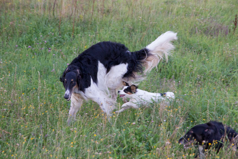 S_9522.jpg