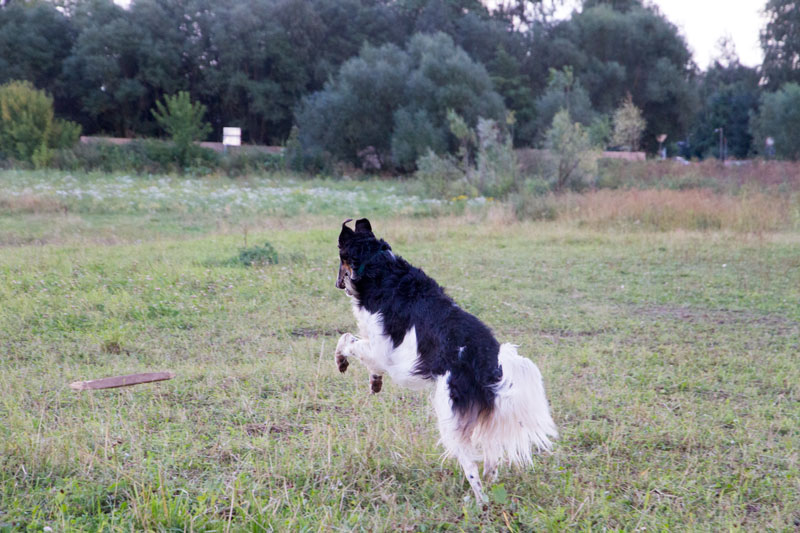 S_9527.jpg