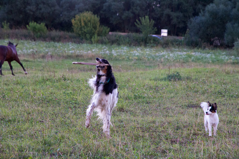 S_9530.jpg