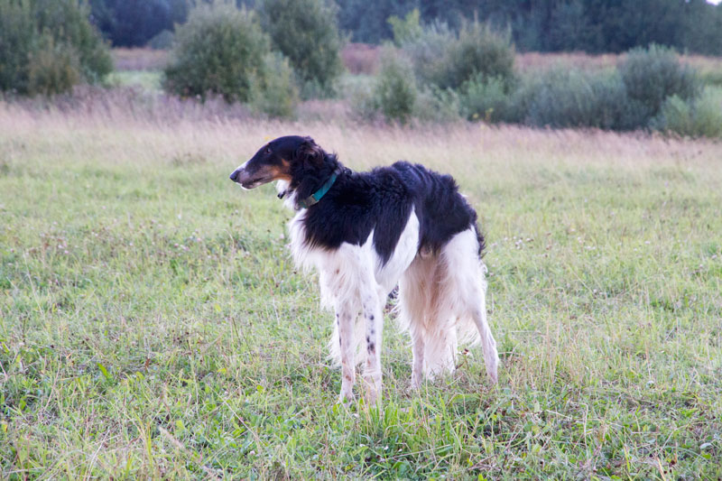 S_9535.jpg