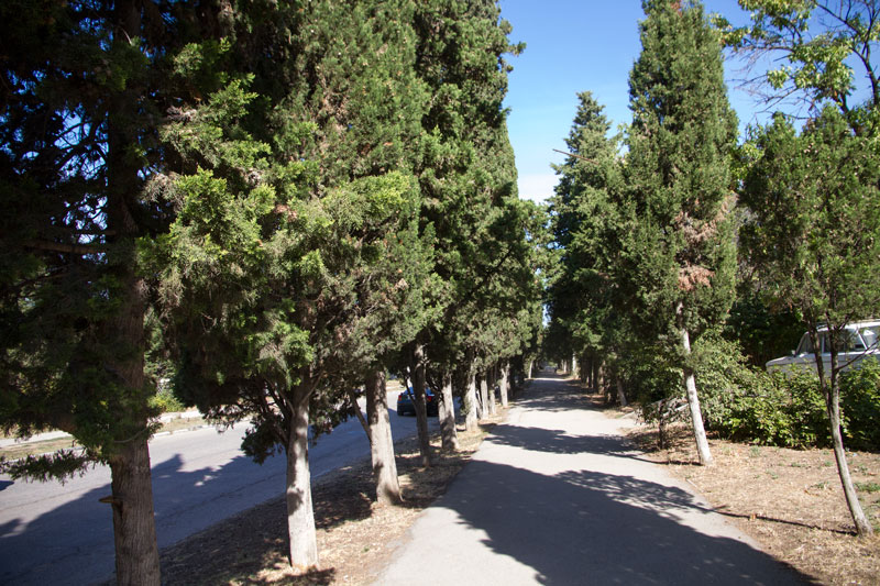 S_9549.jpg