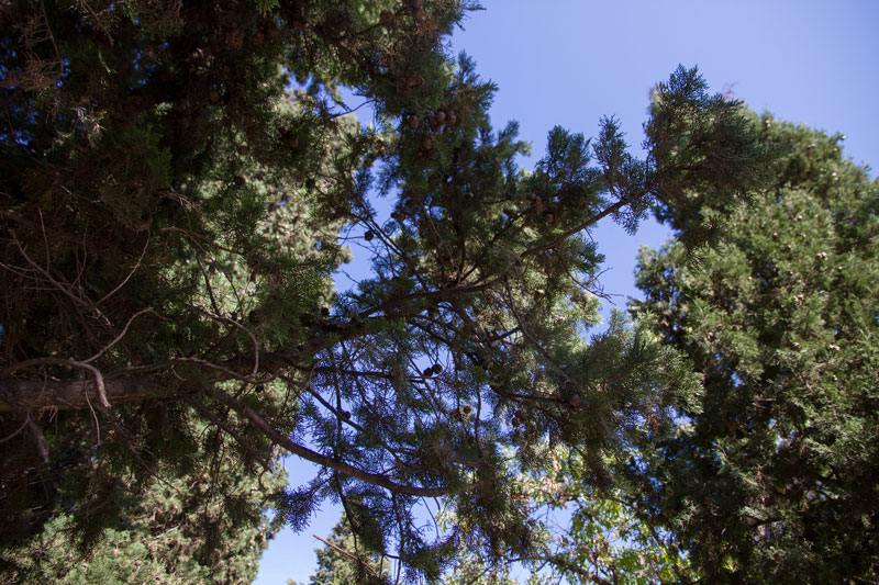 S_9550.jpg