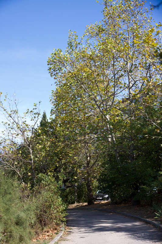 S_9553.jpg