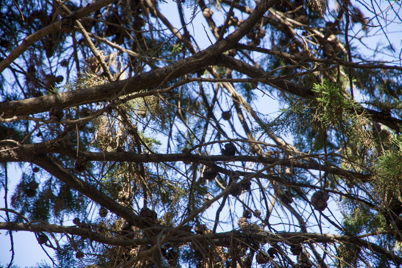 S_9557.jpg