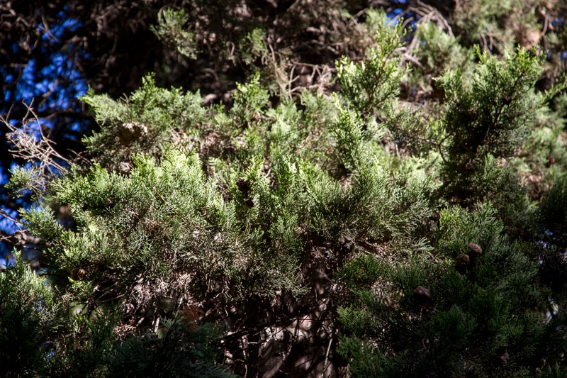 S_9558.jpg