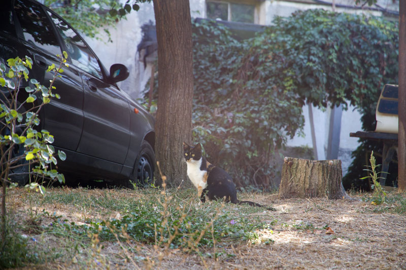 S_9561.jpg