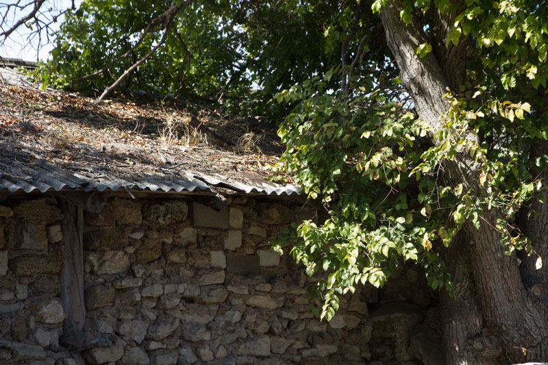S_9572.jpg