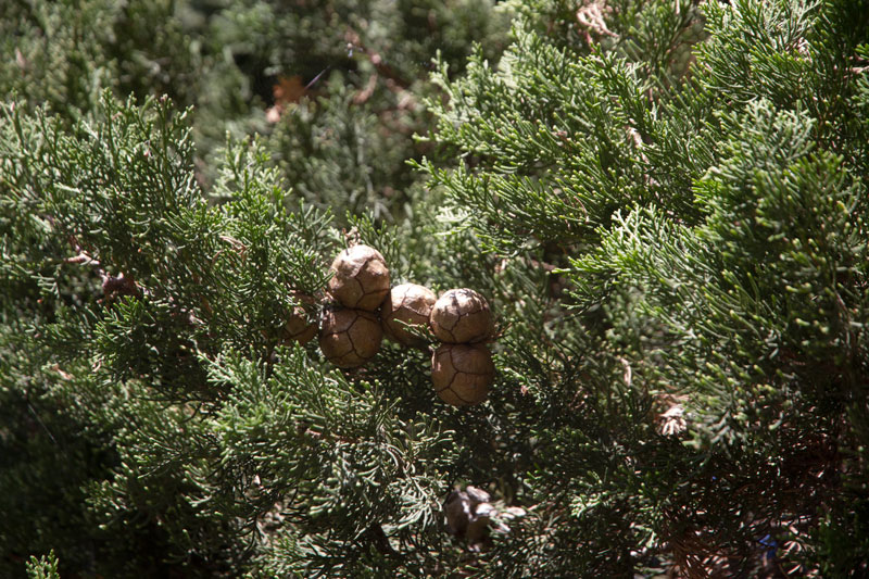 S_9573.jpg