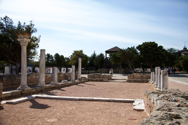 S_9585.jpg