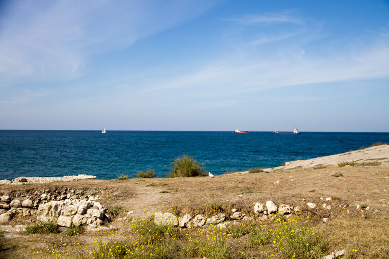 S_9594.jpg