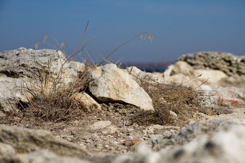 S_9596.jpg