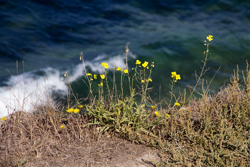 S_9601.jpg