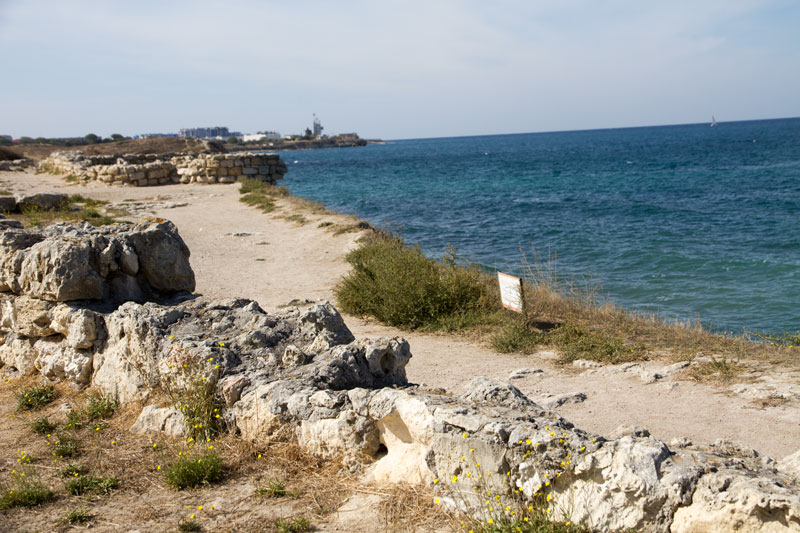 S_9606.jpg