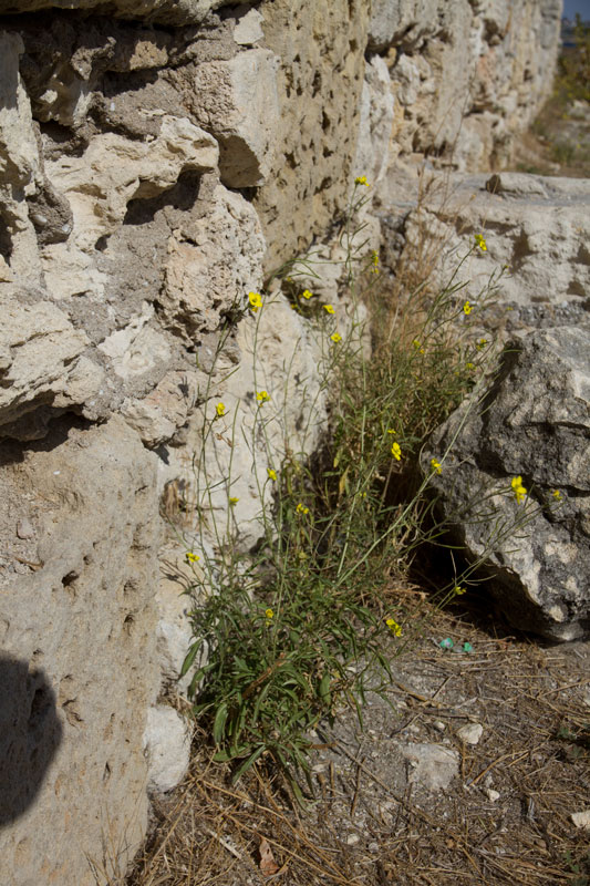 S_9607.jpg