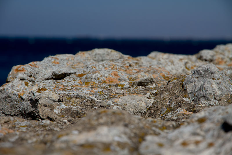 S_9608.jpg