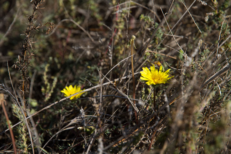 S_9612.jpg