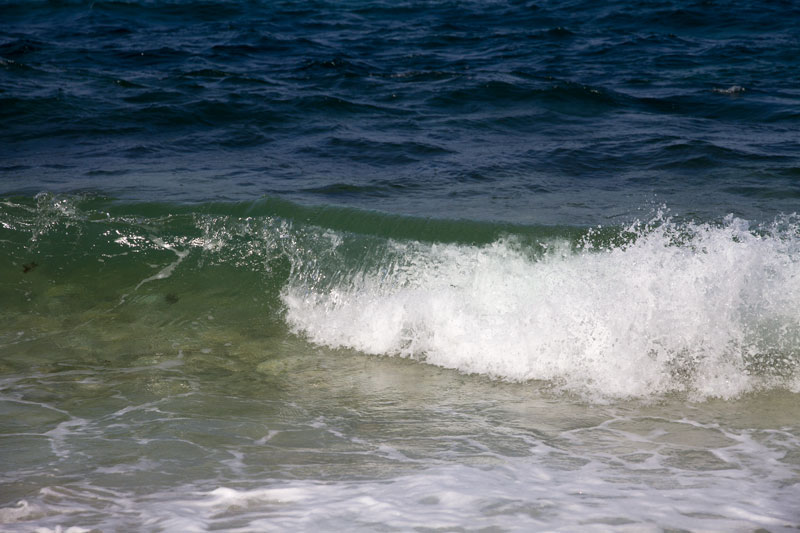 S_9629.jpg