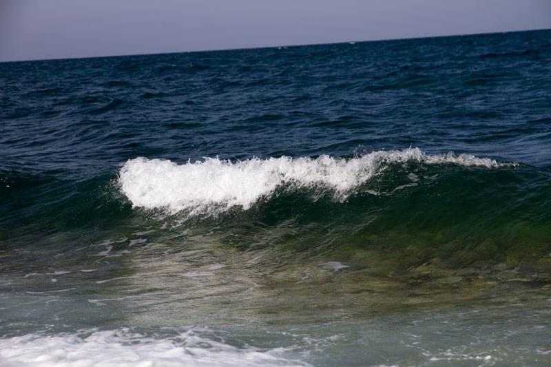 S_9631.jpg