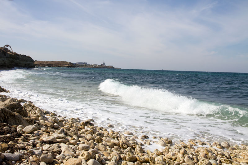 S_9636.jpg